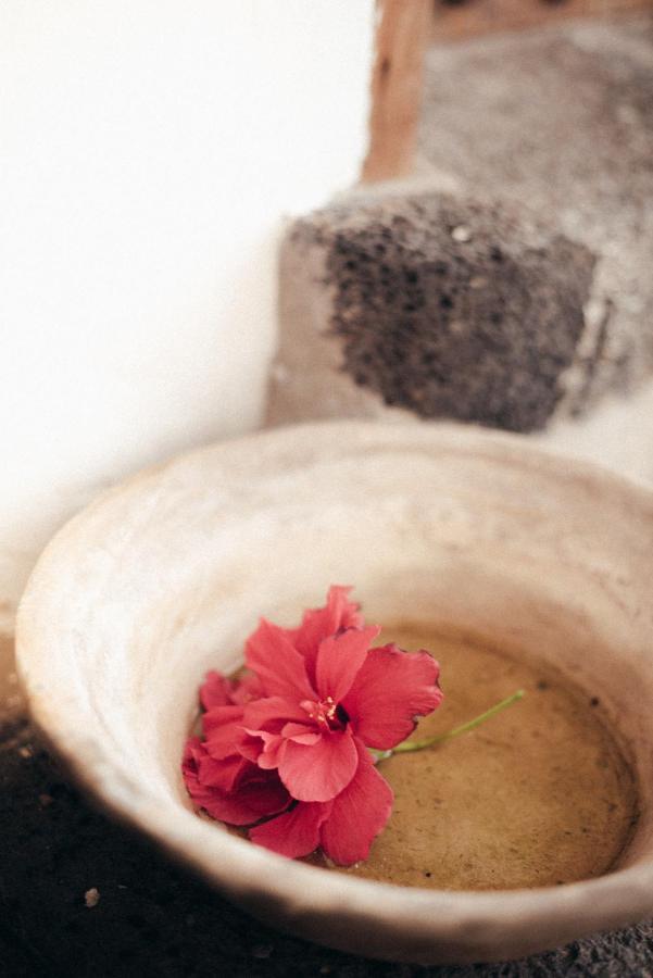 Ye Casa Nube Blanca旅馆 外观 照片