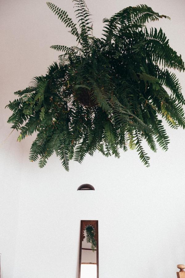 Ye Casa Nube Blanca旅馆 外观 照片